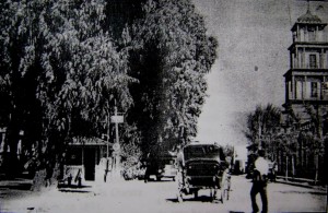 Los coches de Copiapó