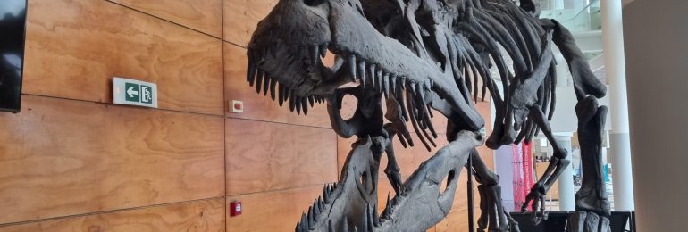 Invitan a establecimientos educacionales a exposición de dinosaurios en Copiapó