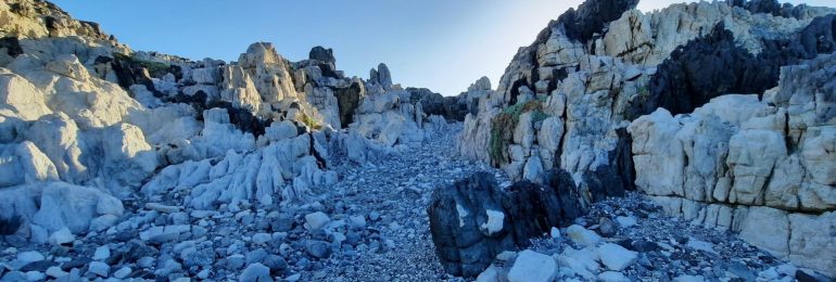 130 estudiantes participaron en curso de introducción a la investigación ambiental organizado por la R3ICA en Atacama